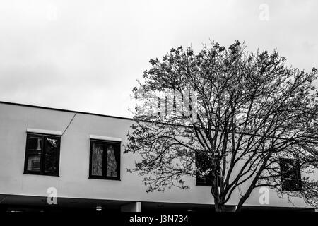 Vista del consiglio-alloggiamento integrato su Gordon House Road, Londra. Foto Stock