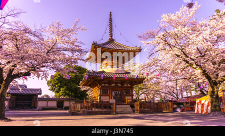 Kitain tempio in primavera a città Kawagoe Saitama in Giappone Foto Stock