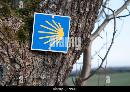 Cammino di Santiago, rosengarten, Schwaebisch Hall, Hohenlohe regione, Baden-Wuerttemberg, Heilbronn-Franconia, Germania Foto Stock