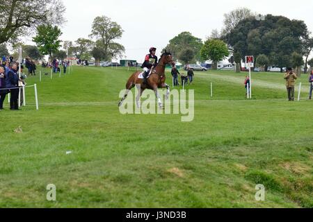 Sequenza fotografica di una spettacolare caduta a Keepers Question Fence 3 al Mitsubishi Motors Badminton Horse Trials 2017 con Topwood Beau ( no 43) con il pilota inglese Emily Gilruth (GBR ) che prende un tumble. Horse non è apparso male, ma la signora Gilruth, che è la sorella del deputato conservatore Matt Hancocks, è stata concusa e portata via su una barella da uomini di ambulanza. Foto Stock