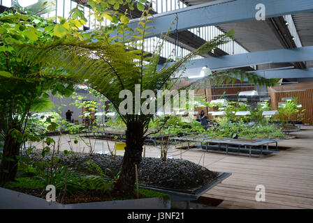 Berlino, Germania. 03 Maggio, 2017. La diaspora nel giardino W. Michael Blumenthal Academy del Museo Ebraico di Berlino, Germania, 03 maggio 2017. Essa serve come uno spazio di scambio, di riflessione e di apprendimento. Foto: Jens Kalaene/dpa-Zentralbild/ZB/dpa/Alamy Live News Foto Stock