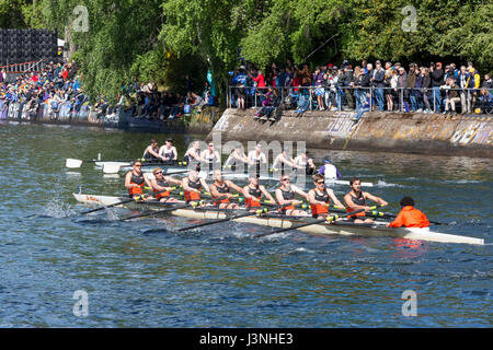 Seattle, Washington, Stati Uniti d'America. Il 6 maggio, 2017. Gusci Racing cross il Montlake tagliati in Windermere Cup corsa in equipaggio durante il giorno di apertura della stagione nautica. Credito: Paolo Gordon/Alamy Live News Foto Stock