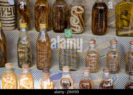 Un lao lao whiskey Shop in Laos Laos Divieto di villaggio Xabg Hay presso il fiume Mekong nella città di Luang Prabang nel nord del Laos in Southeastasia. Foto Stock