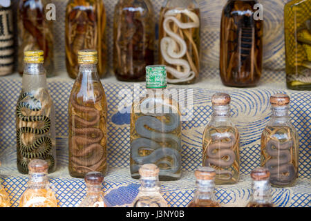 Un lao lao whiskey Shop in Laos Laos Divieto di villaggio Xabg Hay presso il fiume Mekong nella città di Luang Prabang nel nord del Laos in Southeastasia. Foto Stock