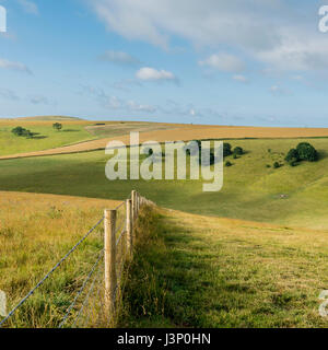 Una vista di Steyning ciotola nella pittoresca South Downs National Park nel West Sussex, in Inghilterra, Regno Unito. Foto Stock