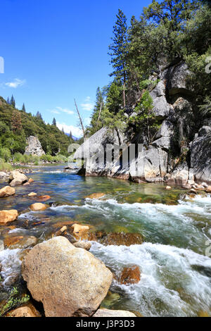 Re del fiume in Sequoia National Forest fresno, in California Foto Stock