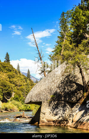 Re del fiume in Sequoia National Forest fresno, in California Foto Stock