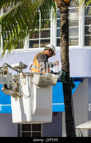 Miami Beach Florida,Ocean Drive,cherry picker,secchio,elettricista,lavoratore,lavoratori,uomo ispanico uomini maschio,lavoratore,lavoratori,palma,installare,elmetto,gilet,j Foto Stock