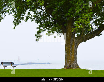 Banco a sedere sul prato accanto a un enorme albero di fronte ad un lago, possiamo vedere un faro attraverso la nebbia e qualche pescatore alla fine del molo. Foto Stock