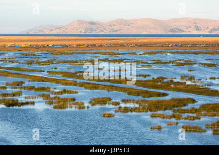 Los Uros isole artificiali sul lago Titicaca, fatta di lamelle di flottante. Foto Stock