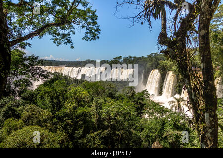 Cascate di Iguassù vista dal lato Argentino - Brasile e Argentina confine Foto Stock