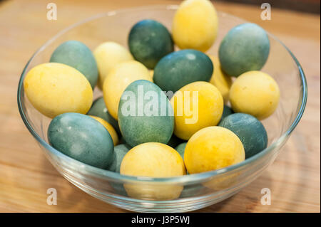 Naturalmente colorati le uova di Pasqua di utilizzare la curcuma e cavolo rosso Foto Stock