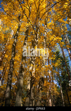 Paesaggio Naturale Foto Stock