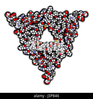 Beta amiloide (Abeta, AB40) a struttura fibrillare. Aggregati fibrillari di Abeta sono componente principale delle placche del cervello e gioca un ruolo importante nella Alzheime Foto Stock