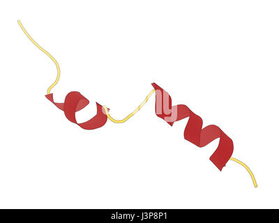 Peptide Liraglutide molecola di farmaco. Agonista del glucagone-peptide-1 simile a recettore utilizzato nel trattamento di diabete e obesità. Modello di Cartoon, secondario Foto Stock