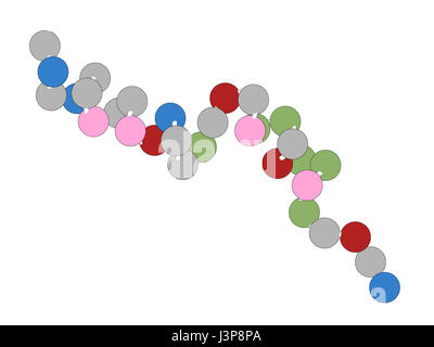 Peptide Liraglutide molecola di farmaco. Agonista del glucagone-peptide-1 simile a recettore utilizzato nel trattamento di diabete e obesità. I talloni su una stringa repres Foto Stock