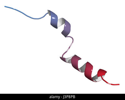 Peptide Liraglutide molecola di farmaco. Agonista del glucagone-peptide-1 simile a recettore utilizzato nel trattamento di diabete e obesità. Modello di Cartoon, N-a-C co Foto Stock