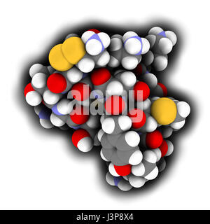 Ziconotide dolore molecola di farmaco. Forma sintetica di omega conotossina dal cono lumaca. Atomi come illustrato a colori codificati a sfere. Foto Stock