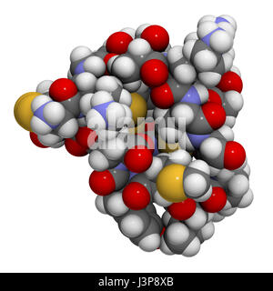 Ziconotide dolore molecola di farmaco. Forma sintetica di omega conotossina dal cono lumaca. Atomi come illustrato a colori codificati a sfere. Foto Stock