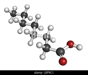 Caprilico (ottanoico acido). Di acidi grassi a media catena, utilizzato come agente antimicrobico, integratore alimentare e prodotto chimico intermedio. Gli atomi sono rappresentati come sp Foto Stock