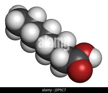 Caprilico (ottanoico acido). Di acidi grassi a media catena, utilizzato come agente antimicrobico, integratore alimentare e prodotto chimico intermedio. Gli atomi sono rappresentati come sp Foto Stock