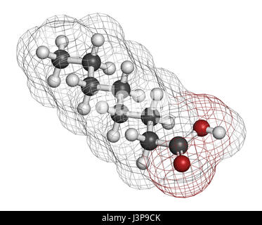 Caprilico (ottanoico acido). Di acidi grassi a media catena, utilizzato come agente antimicrobico, integratore alimentare e prodotto chimico intermedio. Gli atomi sono rappresentati come sp Foto Stock