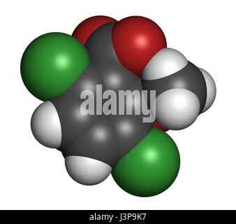 Erbicida dicamba molecola. Utilizzati nel controllo di erbaccia. Gli atomi sono rappresentati come sfere con i tradizionali colori: idrogeno (bianco), carbonio (grigio), Ox Foto Stock