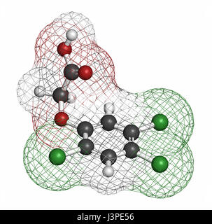 2,4,5-trichlorophenoxyacetic acido (2,4,5-T) erbicida molecola. Ingrediente di agente Orange. Gli atomi sono rappresentati come sfere con colore convenzionale c Foto Stock