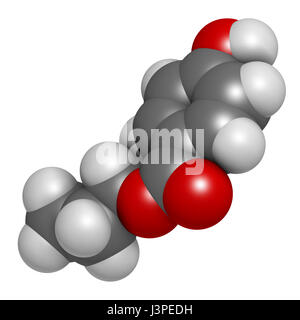 Propilparabene conservante molecola (paraben classe). Gli atomi sono rappresentati come sfere con i tradizionali colori: idrogeno (bianco), carbonio (grigio), Foto Stock