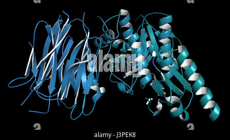 Proproteina convertasi subtilisina kexin tipo 9 (PCSK9) proteina. Obiettivo di più in sperimentazione i farmaci ipocolesterolemizzanti. Rappresentazione dei cartoni animati. Foto Stock