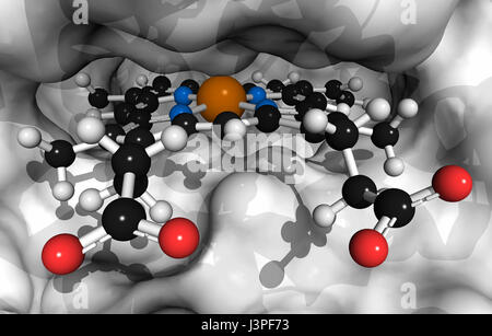 L'emoglobina (umana, Hb) molecola di proteina. Ferro-ossigeno contenente proteina di trasporto che si trova nelle cellule rosse del sangue. Eme mostrato come convenzionalmente palla colorata- Foto Stock