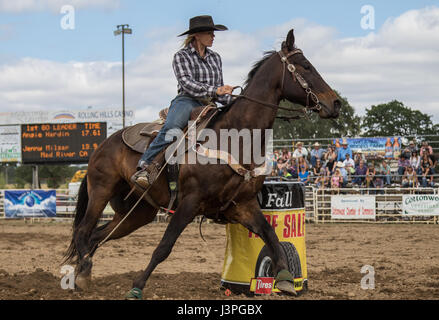 Barrel racing azione al rodeo in pioppi neri americani, California. Foto Stock