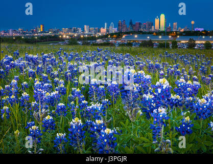 Il centro cittadino di Dallas, Texas riflettente nel fiume della Trinità Foto Stock