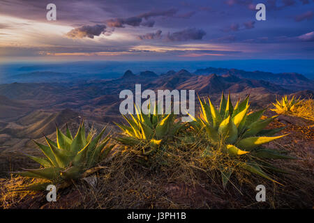 Parco nazionale di Big Bend in Texas ha importanza nazionale come la più grande area protetta del deserto del Chihuahuan topografia ed ecologia in noi. Foto Stock