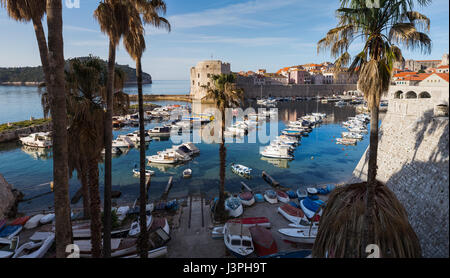 Panorama di imbarcazioni schierate a Dubrovnik il grazioso porto vecchio - visto sotto un cielo blu presto una mattina. Foto Stock