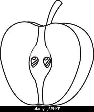 Mezza mela fresca frutta gustosa linea di design Illustrazione Vettoriale