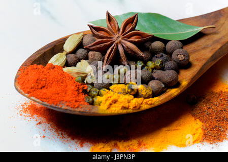 Verschiedene Gewuerze in Holzloeffel, paprica, peperoncino, Piment, Kurkuma, Sternanis, Kardamom, gruener Pfeffer, Muskatnusspulver, Lorbeerblatt Foto Stock