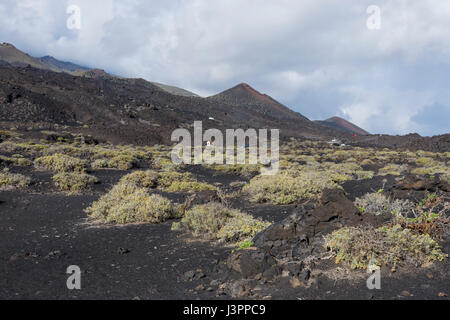 Punta de Fuencalinte, La Palma, Spagna Foto Stock