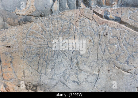 Iscrizioni rupestri, El Cementerio im Barranco las Canales, El Paso, La Palma, Spagna Foto Stock