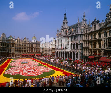 Tappeto di fiori nella Grand Place di Bruxelles, in Belgio Foto Stock