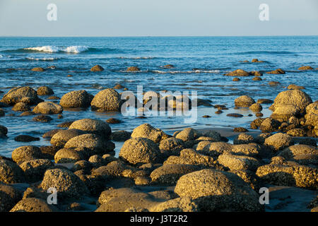 Il Saint Martin's Island, localmente noto come Narikel Jinjira. Teknaf, Cox's Bazar, Bangladesh. Foto Stock