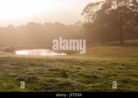 Agriturismo, Mittagong, NSW, Australia Foto Stock