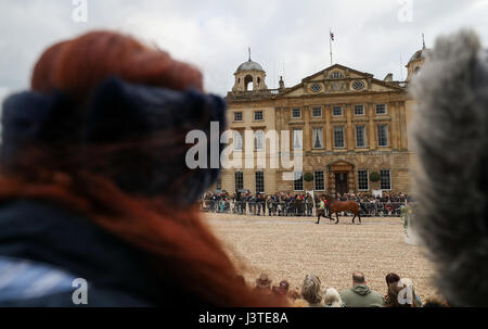 Gran Bretagna è Emily Gilruth conduce fuori Topwood Beau durante la prima ispezione di cavalli durante il giorno uno del 2017 Badminton Horse Trials. Stampa foto di associazione. Picture Data: Mercoledì 3 Maggio, 2017. Vedere PA storia Badminton equestre. Foto di credito dovrebbe leggere: Andrew Matthews/PA FILO Foto Stock