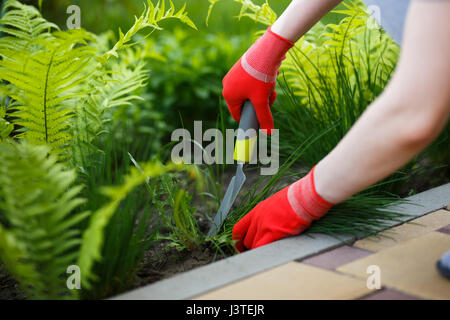 Foto di donna guantata mano azienda erbaccia e attrezzo rimozione dal suolo. Foto Stock