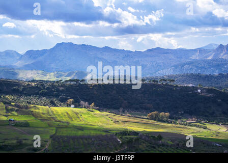 Vista panoramica dei dintorni rurali della città di Ronda, Andalusia, Spagna. Foto Stock