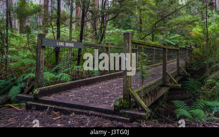 Un ponte di legno in una foresta pluviale con un nome segno lungo ponte Foto Stock