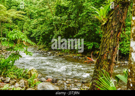 Fotografia HDR di un flusso nella foresta pluviale in Costa Rica Foto Stock