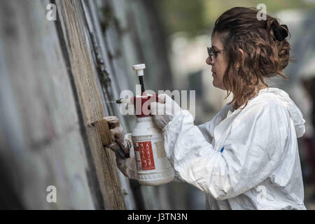 La pulizia 'Trionfa e lamenti,' un monumentale dipinto murale di William Kentridge, lungo la riva destra del fiume Tevere a Roma raffigurante una processione di più di 80 figure dalla mitologia romana. Dove: Roma, Lazio, Italia Quando: 06 Apr 2017 Credit: IPA/WENN.com * * disponibile solo per la pubblicazione in UK, USA, Germania, Austria, Svizzera** Foto Stock