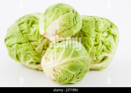 Germoglio di Bruxelles (Brassica oleracea var. gemmifera) isolato in uno sfondo bianco Foto Stock