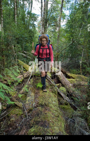 Escursionista femmina attraversando un muschio-coperto nel log il Tarkine natura selvaggia della Tasmania, Australia Foto Stock